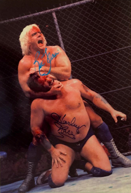 Ric Flair and Harley Race