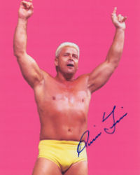 Ronnie Garvin