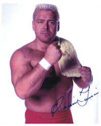 Ronnie Garvin